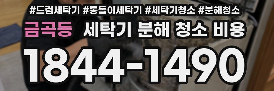 금곡동 세탁기 분해 청소 비용