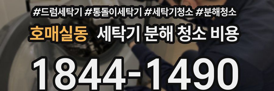 호매실동 세탁기 분해 청소 비용