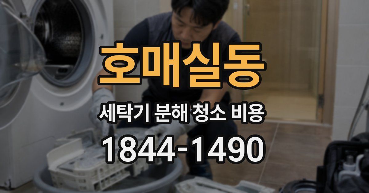 호매실동 세탁기 분해 청소 비용