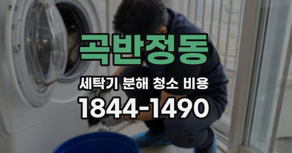 곡반정동 세탁기 분해 청소 비용