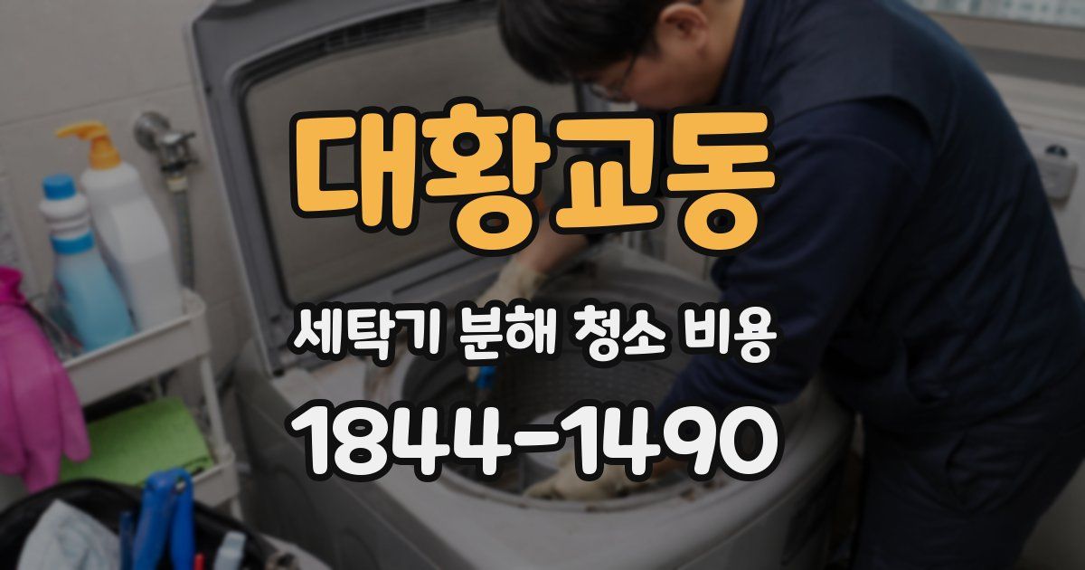 대황교동 세탁기 분해 청소 비용