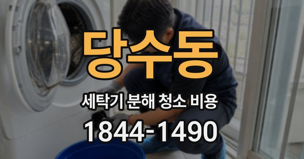 당수동 세탁기 분해 청소 비용