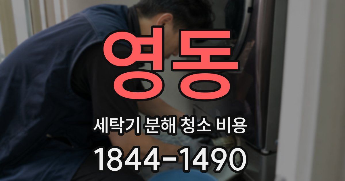 영동 세탁기 분해 청소 비용