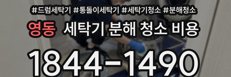 영동 세탁기 분해 청소 비용