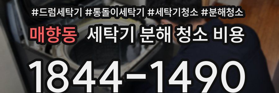 매향동 세탁기 분해 청소 비용