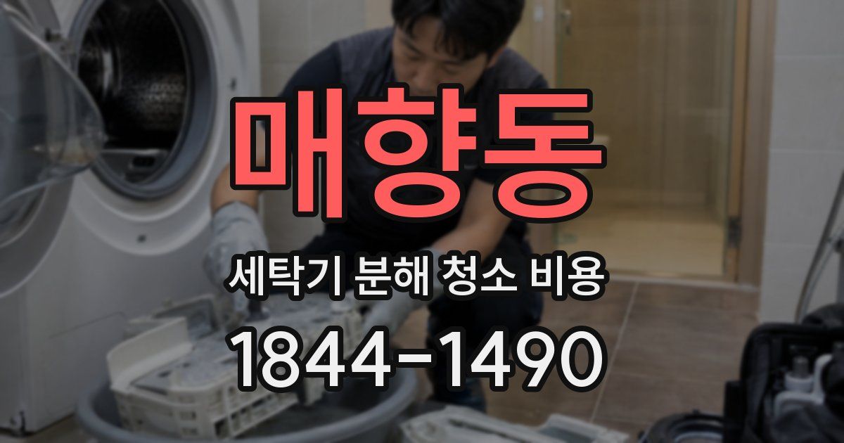 매향동 세탁기 분해 청소 비용