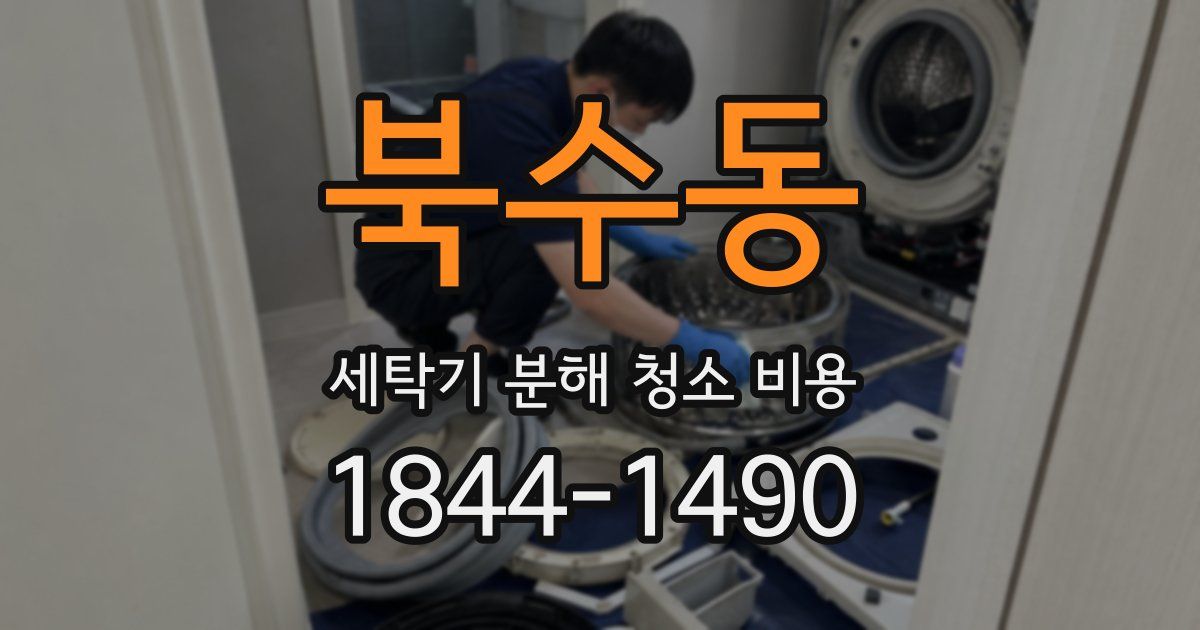 북수동 세탁기 분해 청소 비용