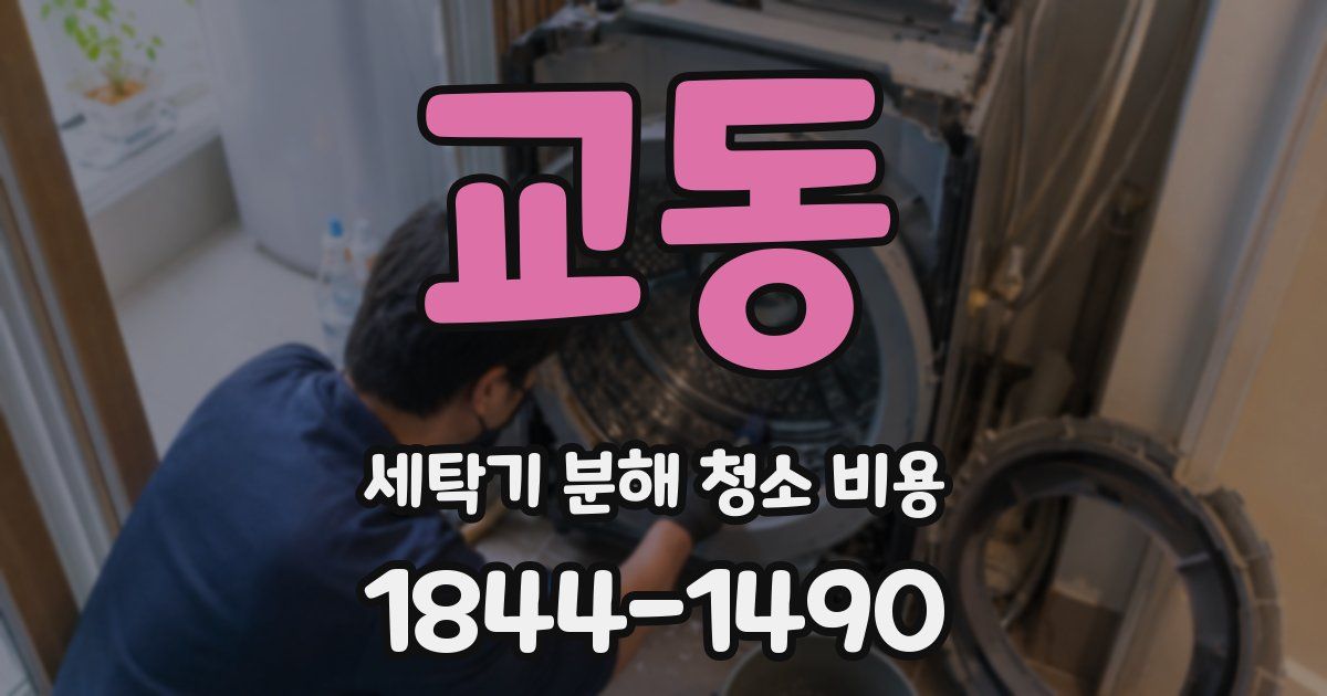 교동 세탁기 분해 청소 비용