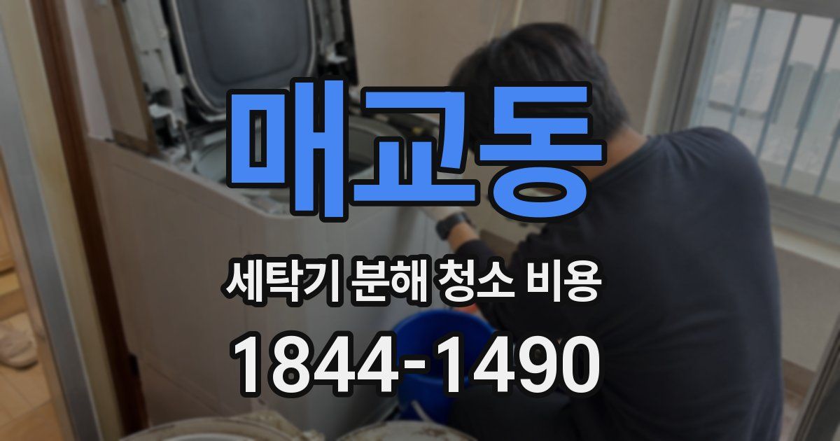 매교동 세탁기 분해 청소 비용