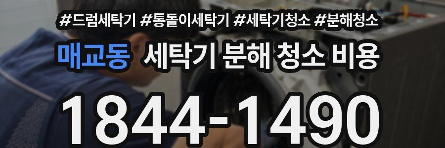 매교동 세탁기 분해 청소 비용