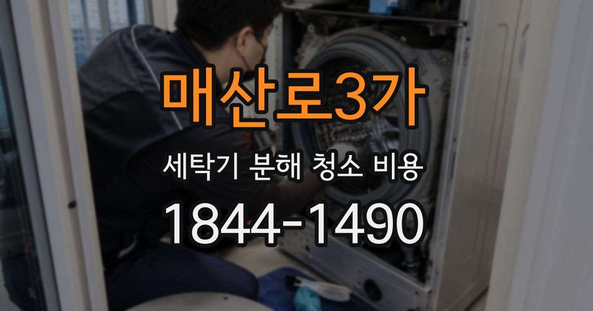 매산로3가 세탁기 분해 청소 비용