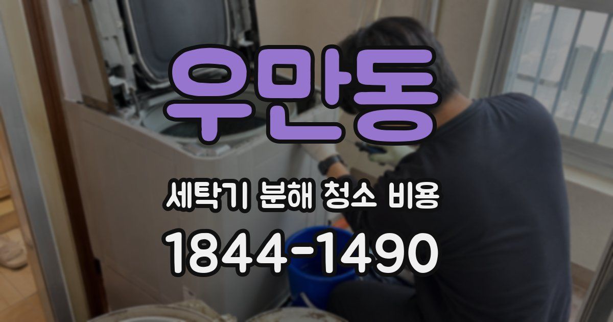 우만동 세탁기 분해 청소 비용