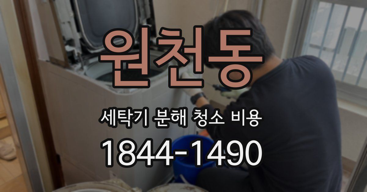 원천동 세탁기 분해 청소 비용