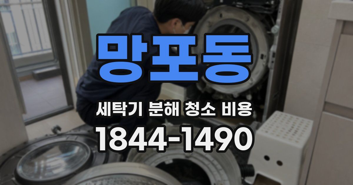 망포동 세탁기 분해 청소 비용