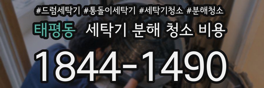 태평동 세탁기 분해 청소 비용