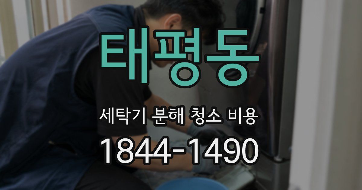 태평동 세탁기 분해 청소 비용