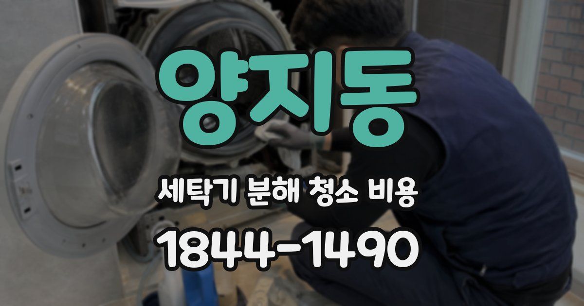 양지동 세탁기 분해 청소 비용