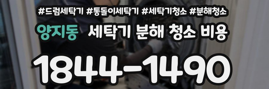양지동 세탁기 분해 청소 비용