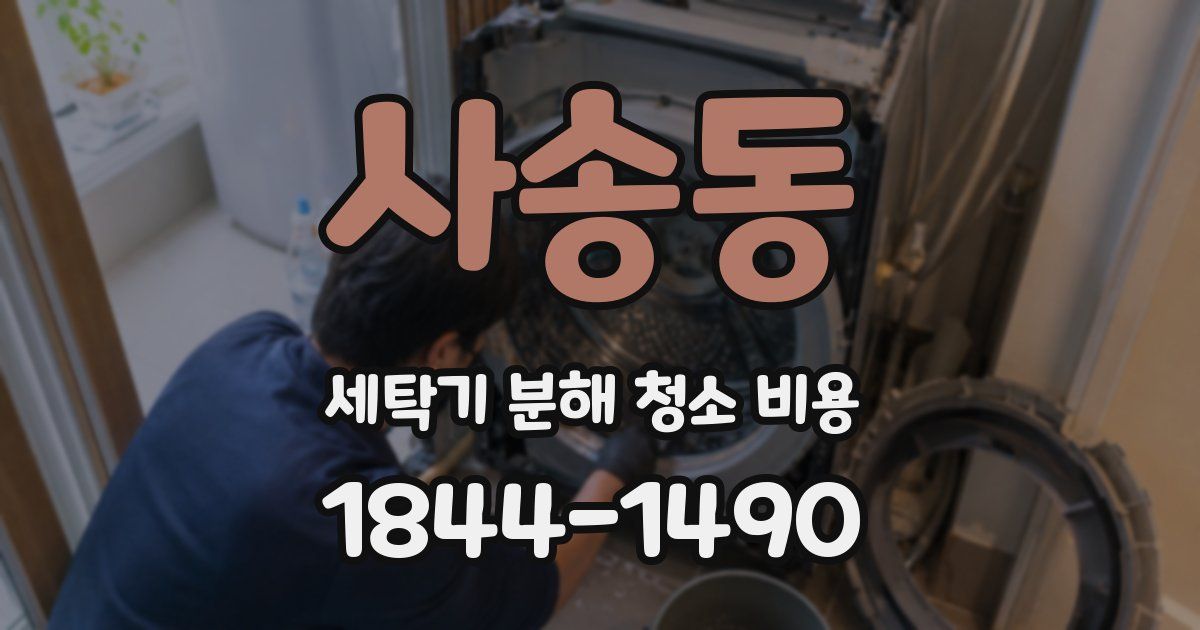 사송동 세탁기 분해 청소 비용