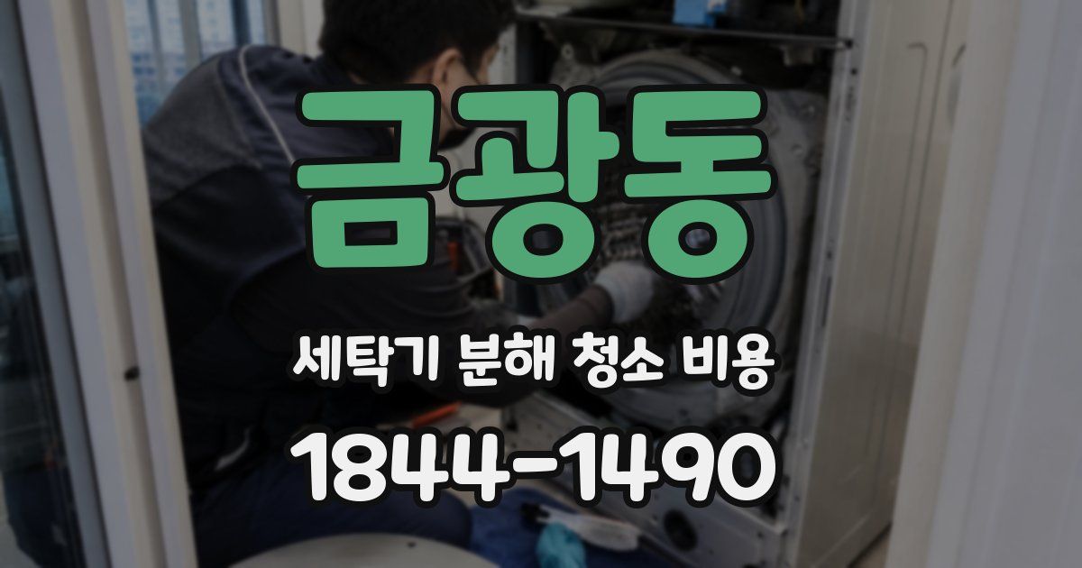 금광동 세탁기 분해 청소 비용