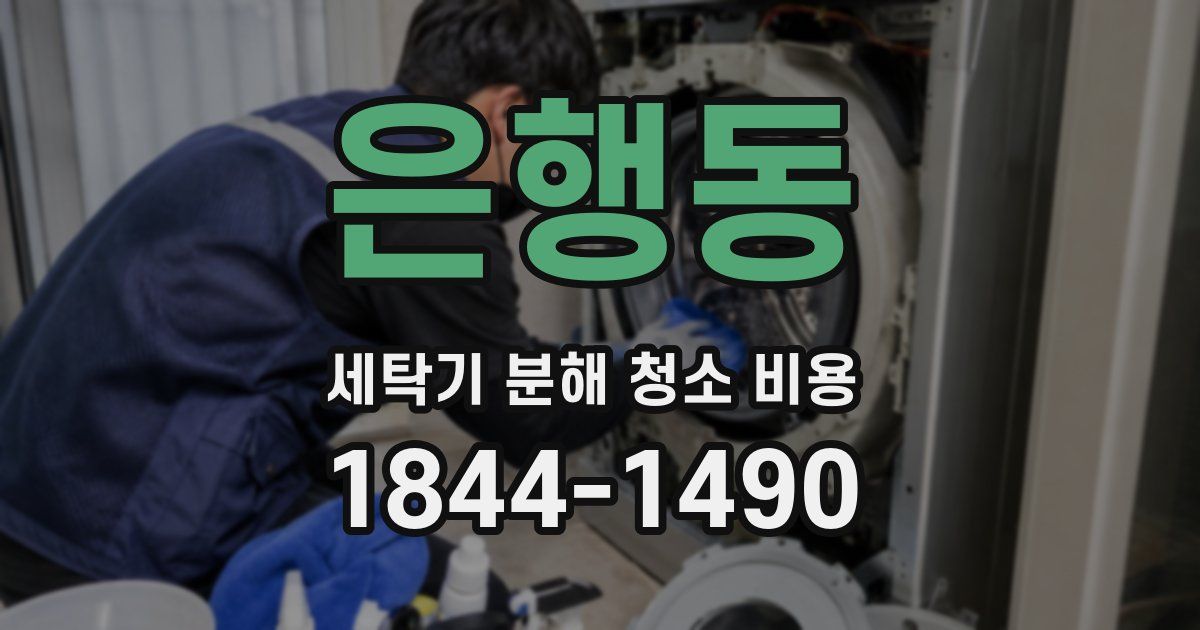 은행동 세탁기 분해 청소 비용