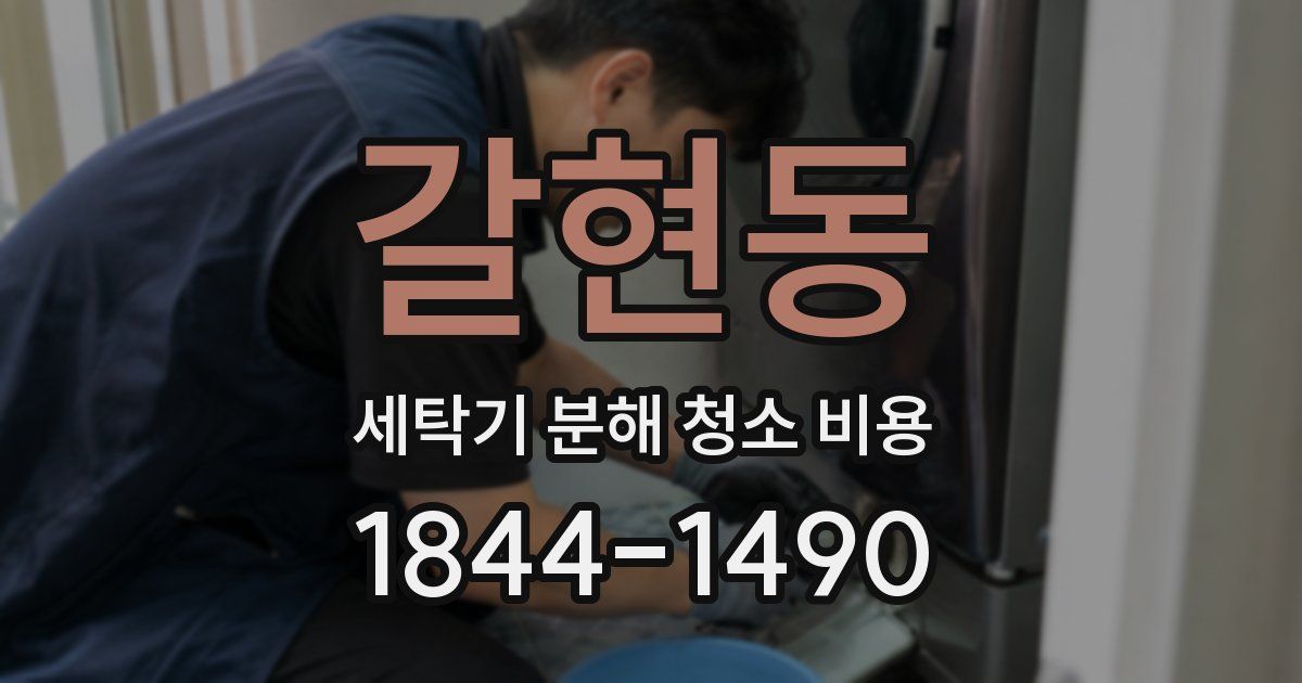 갈현동 세탁기 분해 청소 비용