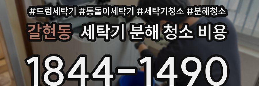갈현동 세탁기 분해 청소 비용
