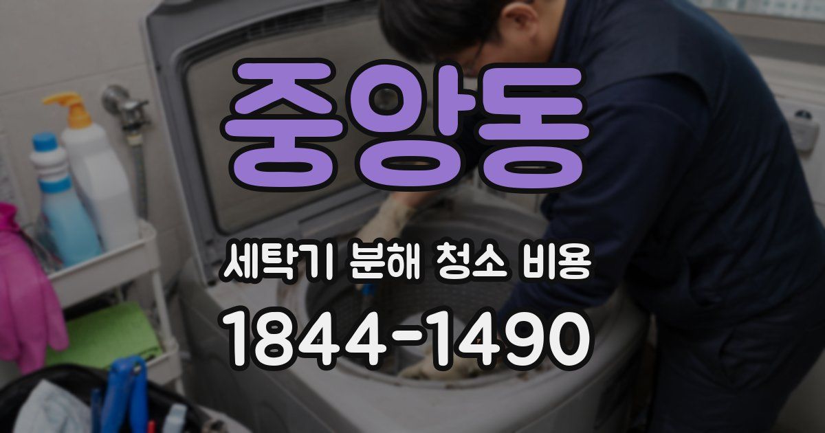 중앙동 세탁기 분해 청소 비용