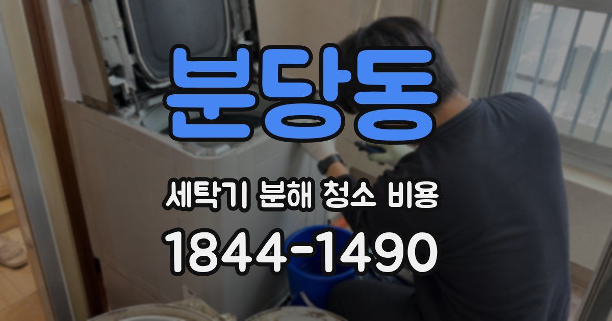 분당동 세탁기 분해 청소 비용