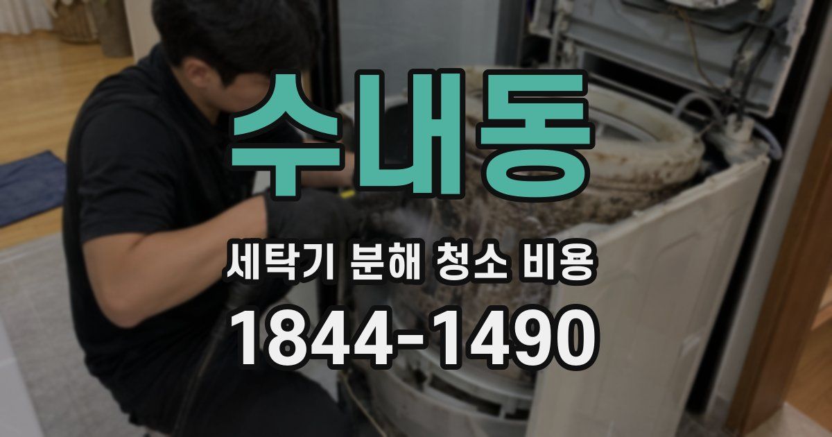 수내동 세탁기 분해 청소 비용