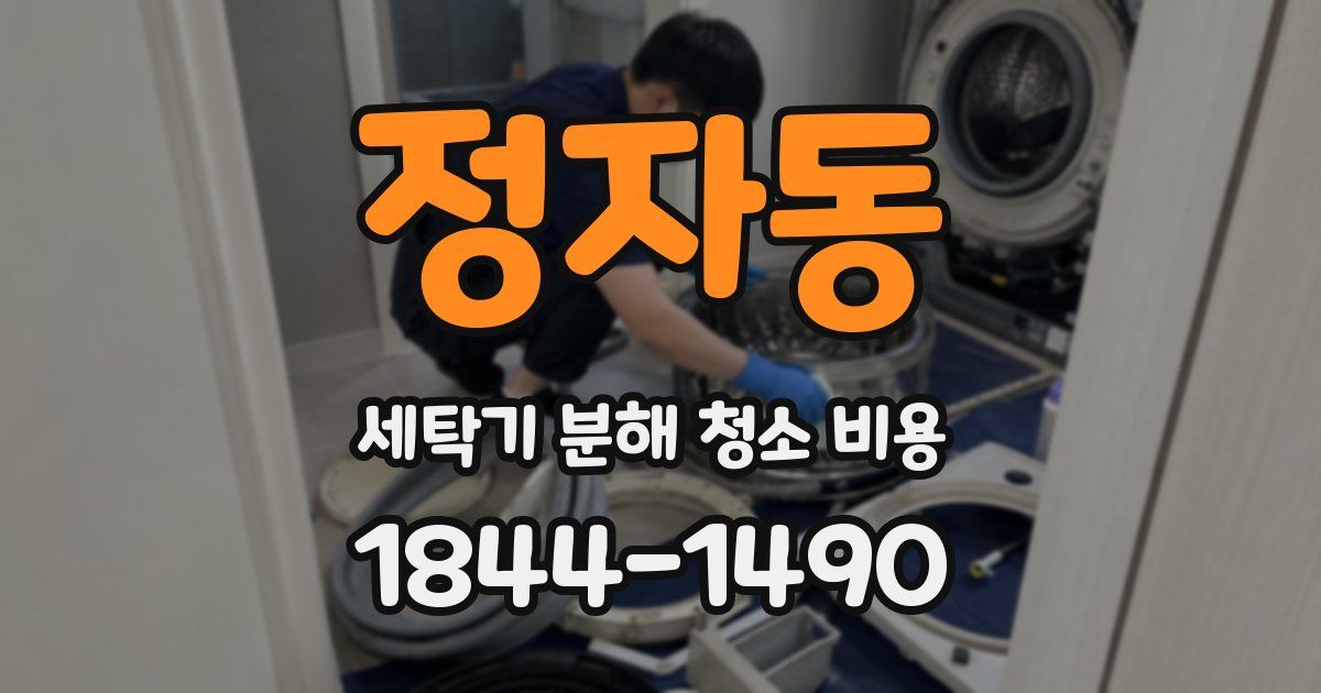 정자동 세탁기 분해 청소 비용