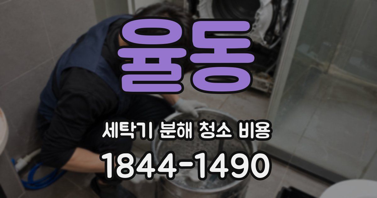 율동 세탁기 분해 청소 비용
