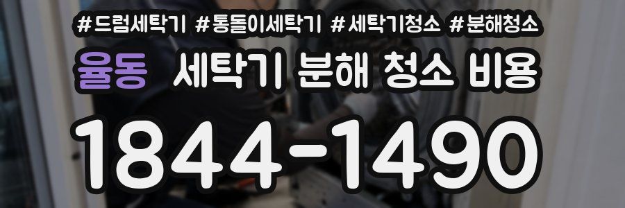 율동 세탁기 분해 청소 비용