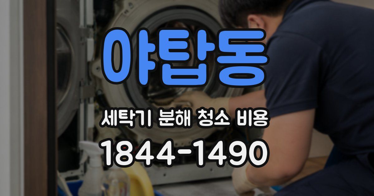 야탑동 세탁기 분해 청소 비용