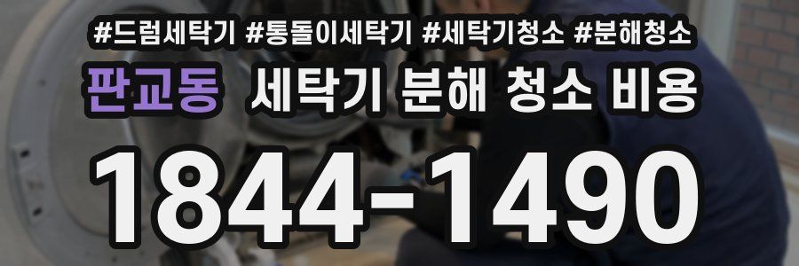 판교동 세탁기 분해 청소 비용