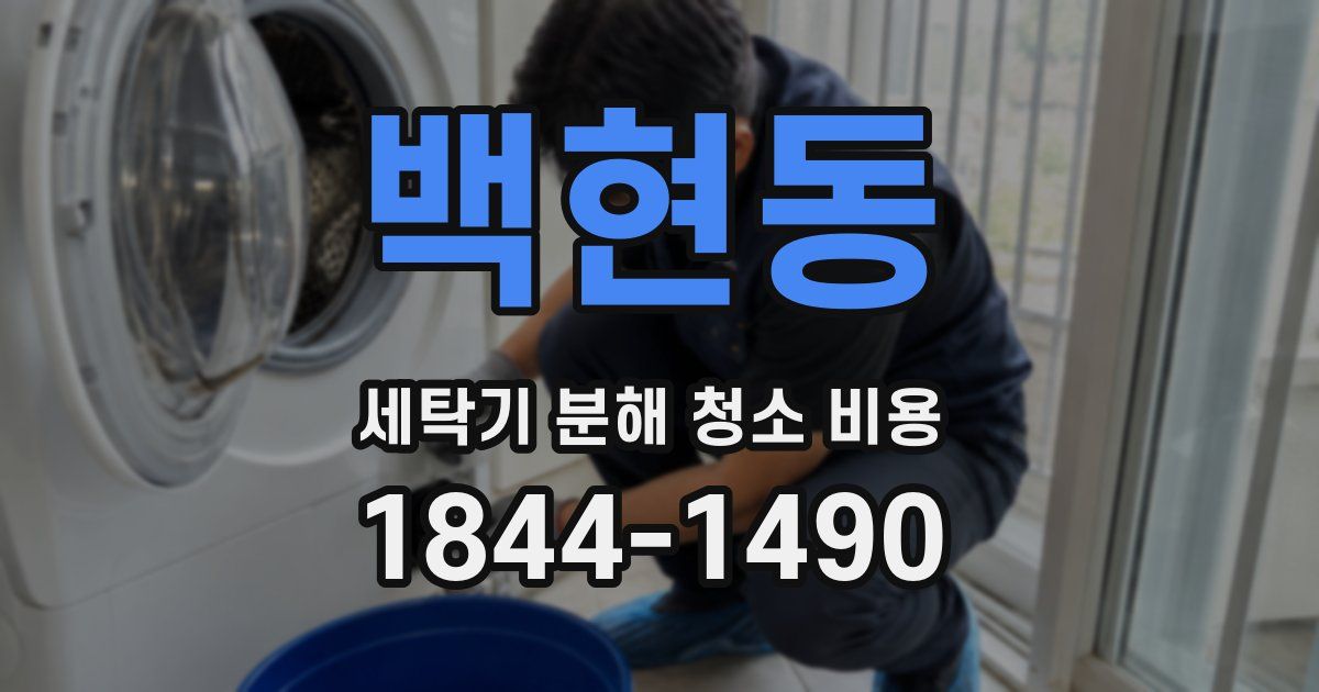 백현동 세탁기 분해 청소 비용