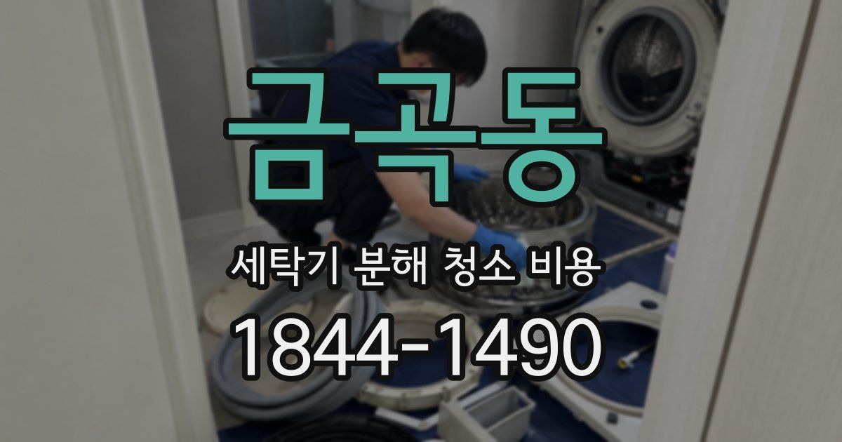 금곡동 세탁기 분해 청소 비용