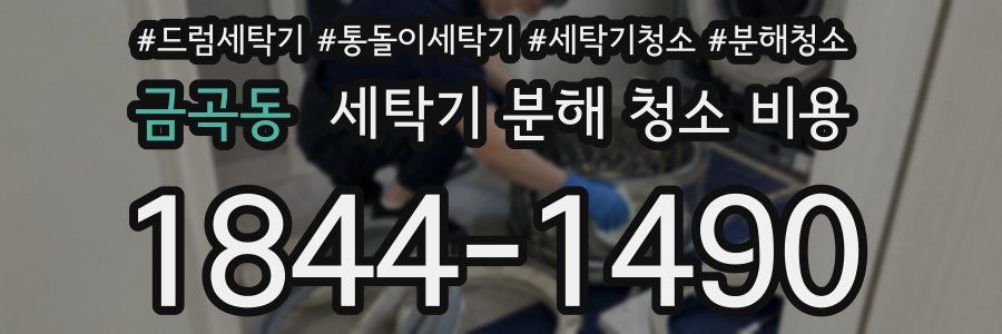 금곡동 세탁기 분해 청소 비용