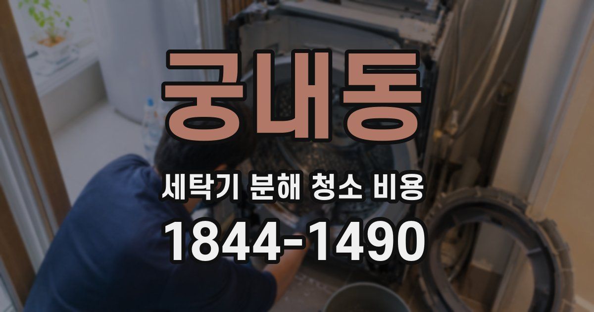 궁내동 세탁기 분해 청소 비용