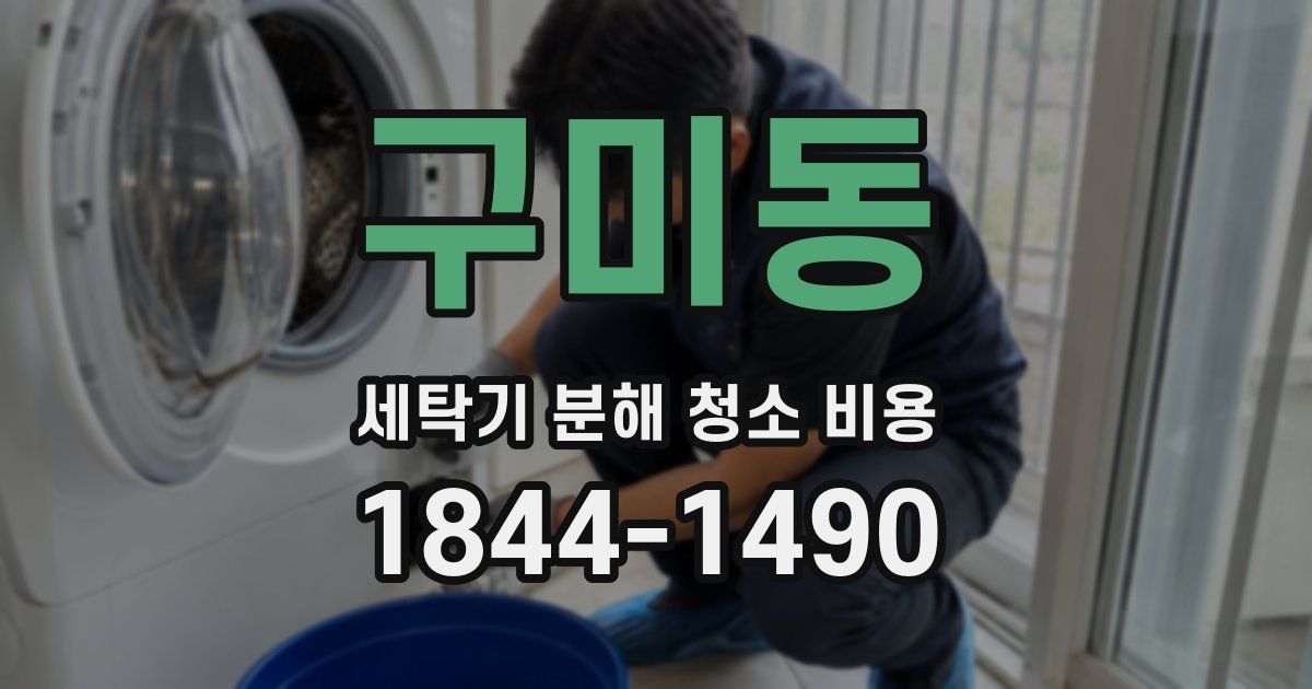 구미동 세탁기 분해 청소 비용