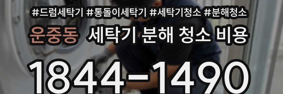운중동 세탁기 분해 청소 비용
