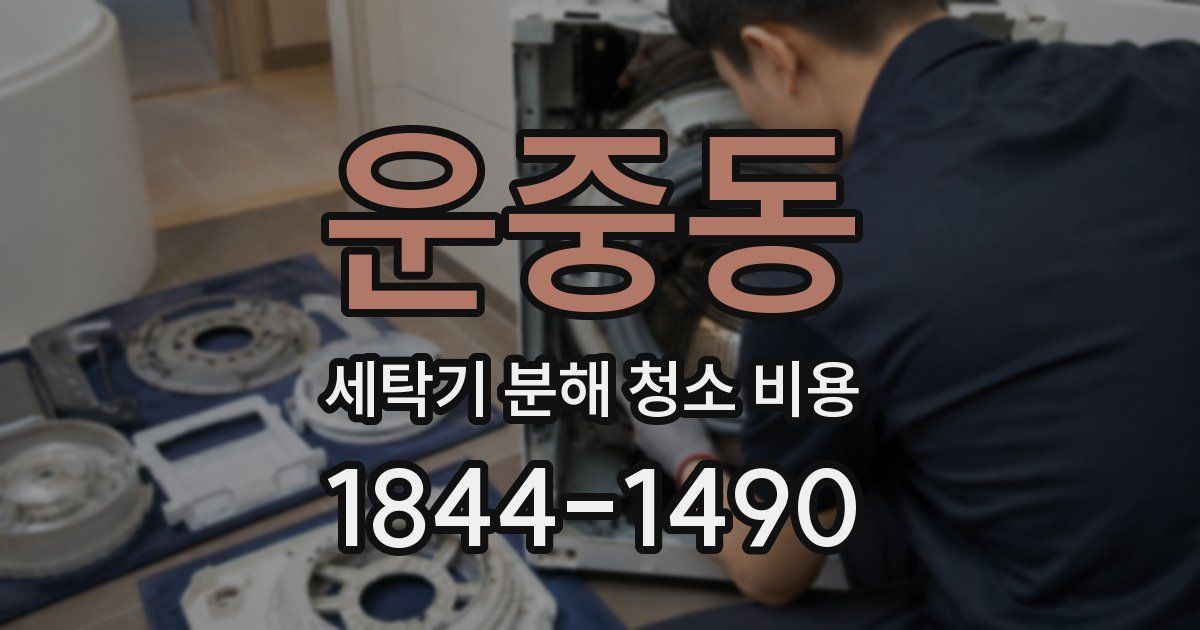 운중동 세탁기 분해 청소 비용