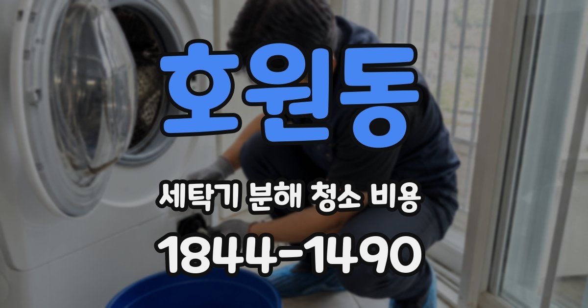 호원동 세탁기 분해 청소 비용