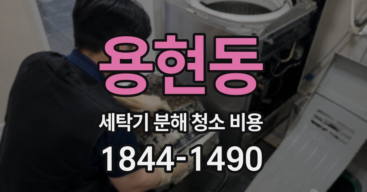 용현동 세탁기 분해 청소 비용