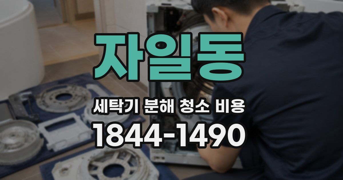 자일동 세탁기 분해 청소 비용