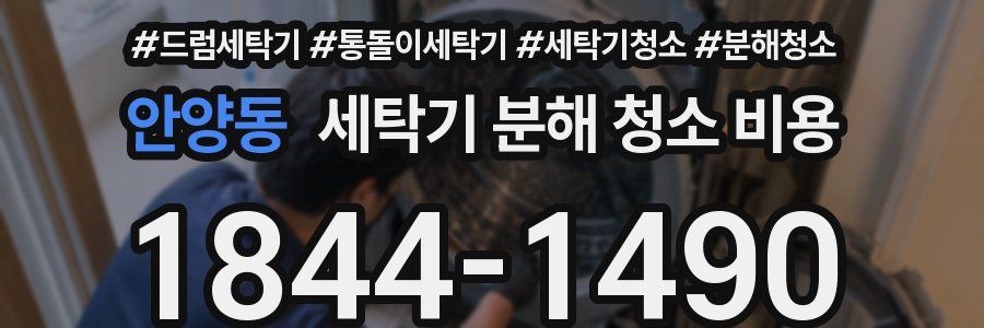 안양동 세탁기 분해 청소 비용