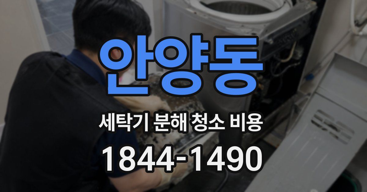 안양동 세탁기 분해 청소 비용