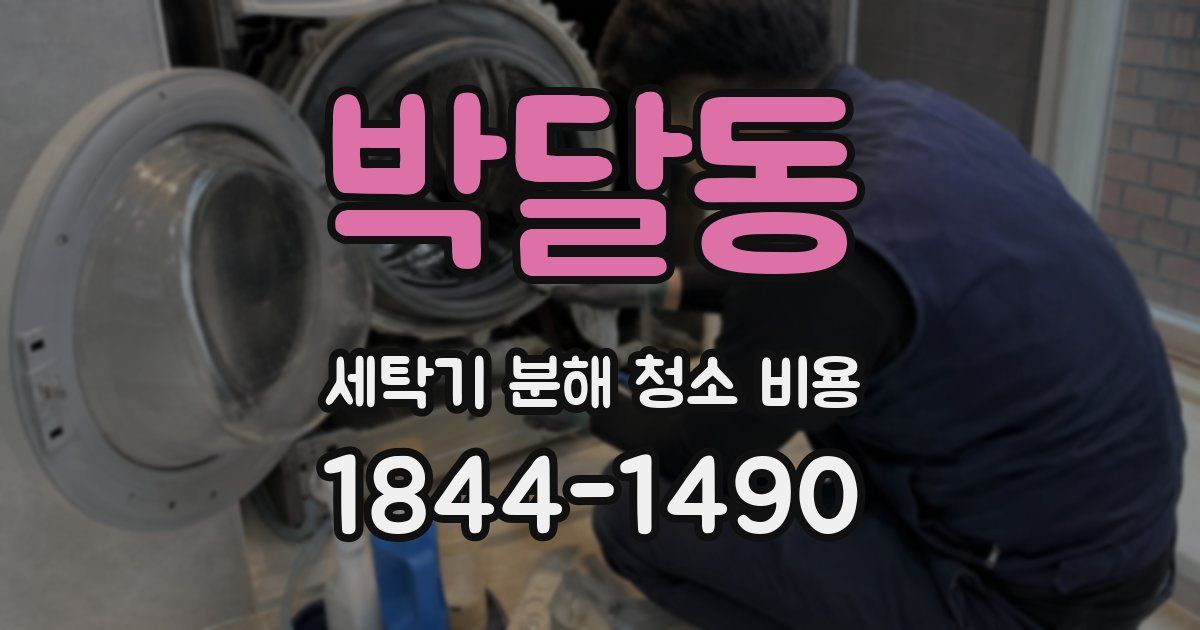 박달동 세탁기 분해 청소 비용