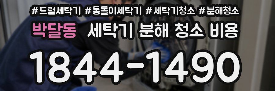 박달동 세탁기 분해 청소 비용