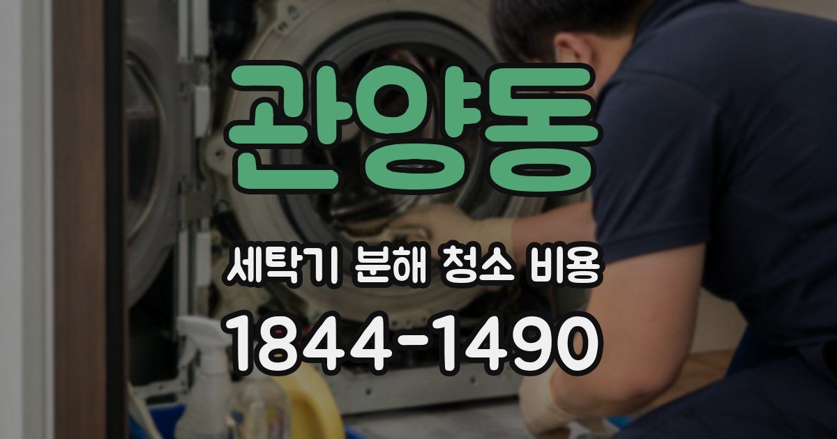 관양동 세탁기 분해 청소 비용